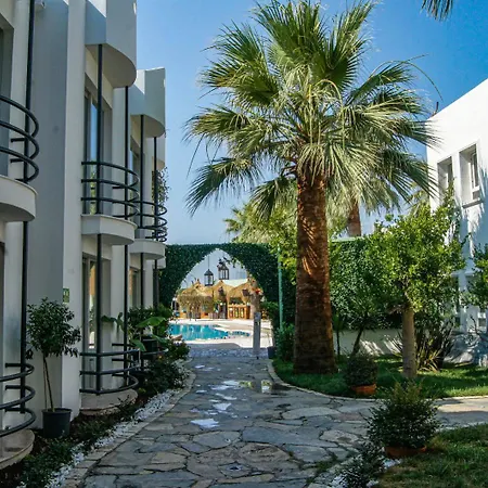Hotel Dream Palace 3*