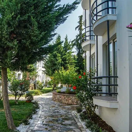 Dream Palace Hotel 3*