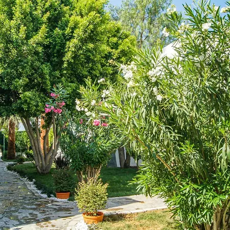 Dream Palace 3* Bodrum