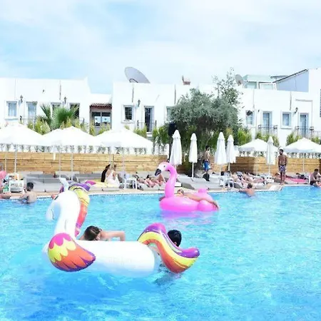 Dream Palace Hotel 3*